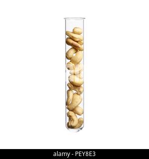 Cashew nuts in test tube, studio shot. Stock Photo