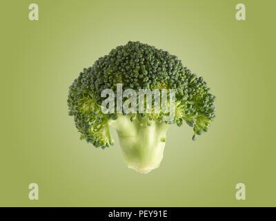 Broccoli. Stock Photo