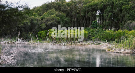 Royo Ranz thermal lake in Rotorua, Nz Stock Photo - Alamy