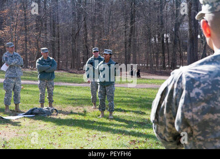 Capt. Yolanda Mason, the G33 readiness officer (center) briefs leaders and Soldiers of the 108th Training Commad (IET), on some of the logistical as well as tactical mistakes made during the Battle of Guilford Courthouse, now a National park located in Greensboro, N.C., to fellow Leaders and Soldiers during their staff ride on Feb 6. Representatives from each of the staff sections were assigned tasks such as key figure biographies as well as the tactics of the day and how the lessons learned apply today. The staff rides are training events used by staff members of the unit to learn important l Stock Photo