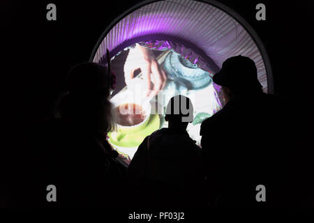 Glanusk Park, Brecon, Wales, 17th August 2018.  Day One of the Green Man music festival in the Brecon Beacons Mountains in Wales. Pictured: An on-site art instillation. Credit: Rob Watkins/Alamy Live News Stock Photo