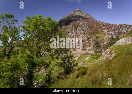 Pen Yr Ole Wen mountain in the Carneddau range, Snowdonia, North Wales in summer Stock Photo