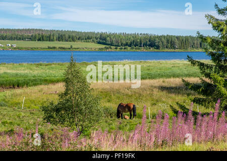View near Pajala in northern Sweden across Torne river on a sunny summer day in August 2018