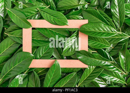 Cardboard frame among the green leaves. Close-up. Stock Photo