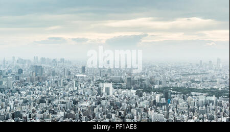 Asia Business concept for real estate and corporate construction - panoramic urban city skyline aerial view under twilight sky and golden sun in tokyo Stock Photo
