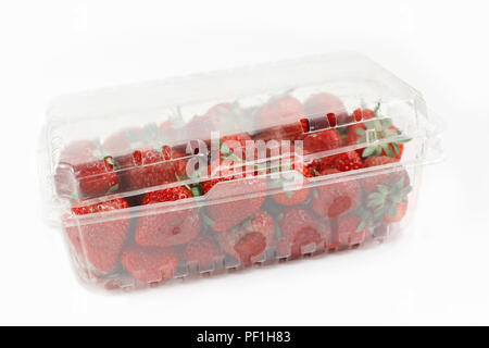 Closeup macro shot image of rotten strawberry with white large mold in plastic transparent box container. Stock Photo