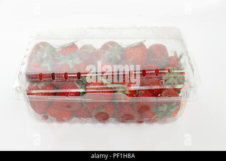 Closeup macro shot image of rotten strawberry with white large mold in plastic transparent box container. Stock Photo