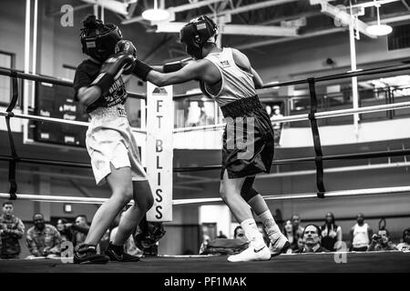 Two boxers exchange punches in the ring during a sanctioned boxing tournament at Fort Bliss, Texas. The bout is conducted under official rules with referees and medical staff present to monitor safety. The competition takes place on the military installation and supports physical conditioning, discipline, and morale for service members while maintaining controlled athletic standards. Stock Photo