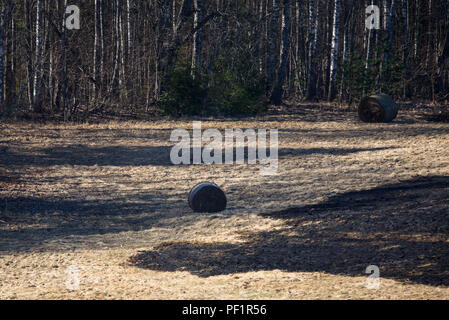 Burning last year's grass and hay roller at meadow. Stock Photo