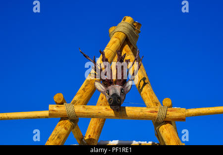 Brown deer head on wooden gate at a mountain village in Harbin, China. Stock Photo