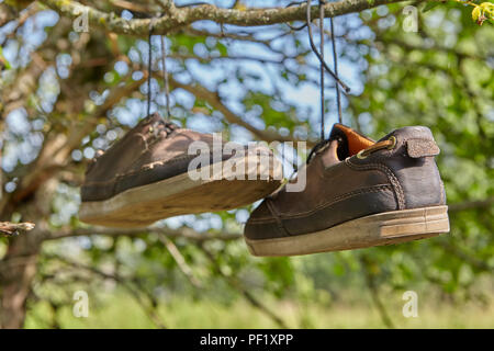 Old brown leather sneakers hang on laces on a tree branch in the countryside. Stock Photo