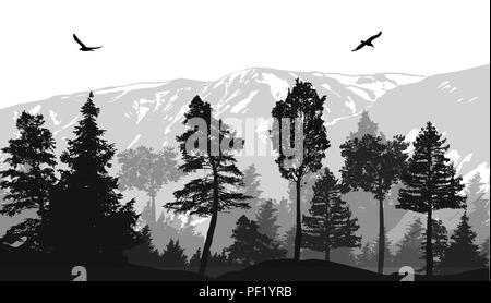 Pine forest landscape background, vector illustration Stock Vector