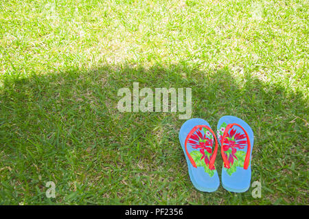 Summer flip flops in the shadow on the  green grass Stock Photo