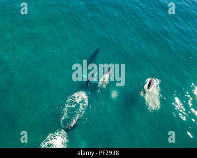 An aerial view of Byron Bay in New South Wales, Australia Stock Photo