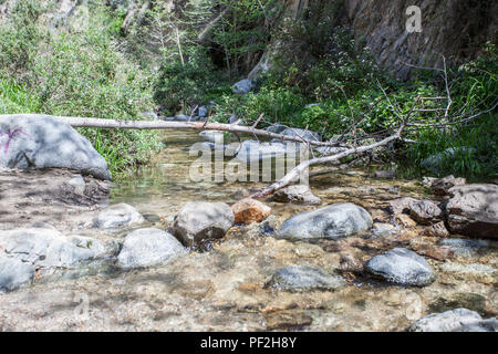 Eaton Canyon Natural Area is a 190-acre zoological, botanical, and geological nature preserve situated at the base of the beautiful San Gabriel Mounta Stock Photo