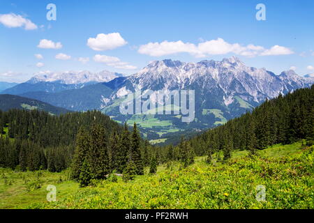 Leogang Mountains Leoganger Steinberge with highest Birnhorn, Alps, Austria Stock Photo