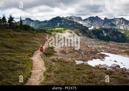 WA14811-00...WASHINGTON - Trail between Seattle Park and Spray Park in Mount Rainier National Park. Stock Photo