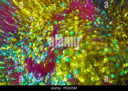 Multicoloured bokeh circular reflections of Christmas lights Stock Photo