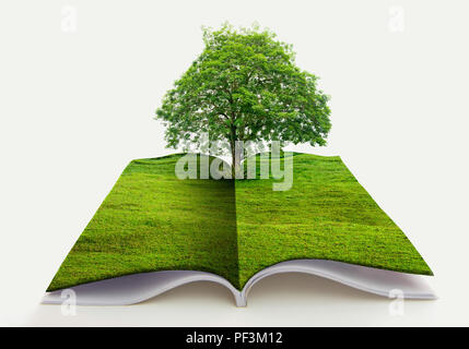 book of nature isolated on white open book in paper recycling concept 3d rendering book of nature with grass and tree growth on it over white blue bac Stock Photo