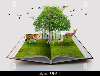 Wildlife Conservation tiger Deer Bird environment book of nature isolated on white open book in paper recycling 3d rendering book of nature with grass Stock Photo