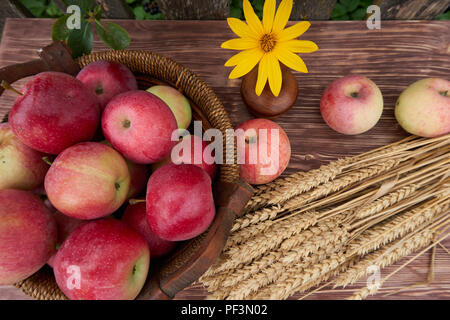 Red apples in a basket and and ears of ripe wheat on a wooden table next to an old wooden fence. Nature fruit concept Stock Photo