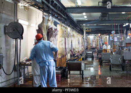 Meat shop with carcasses of animals.Meat factory Stock Photo