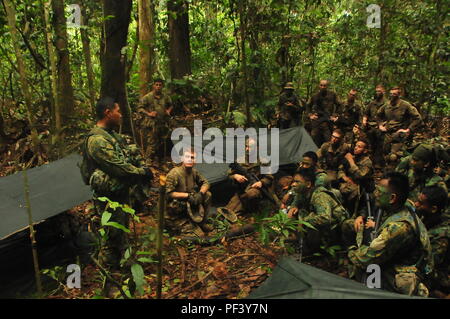 PENANJONG GARRISON, Brunei— A Soldier with the 1st Battalion, Royal Brunei Land Forces, instructs a Soldier assigned to 1st Battalion, 151st Infantry Regiment, Indiana Army National Guard, while conducting jungle warfare operations during Exercise Pahlawan Warrior at a place known as MB 20 within the Borneo lowland rain forests region, Brunei, 11 Aug. 2018. This is the first army-to-army exercise between the RBLF and U.S. Army. RBLF soldiers led training for U.S. Soldiers during Jungle Warfare Operations, and U.S. Soldiers took the lead training RBLF soldiers on military operations in urban te Stock Photo