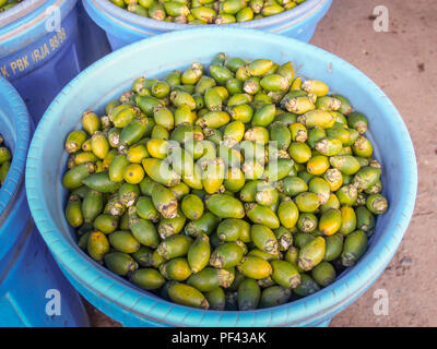 Betel nuts in the blue basket on the bazaar in Wamena city. The name of the fruit is Bethel. Used as a stimulant in Indonesia Stock Photo