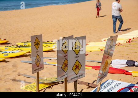 Surf rescue boards and equipment spring clean on Newport beach in Sydney,Australia Stock Photo