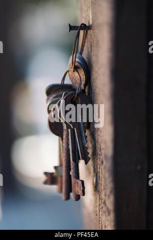 Bunch of old rusty keys hanging on the wall, close-up Stock Photo