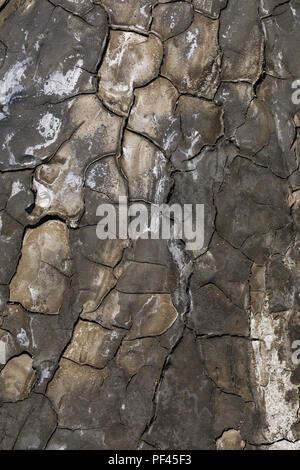 Texture of a cracked volcanic rock photographed from above closeup Stock Photo