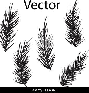 set of vector bird feathers for decoration and design Stock Vector
