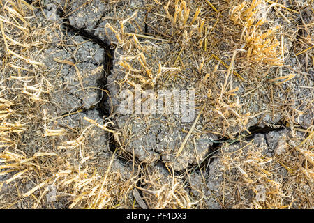 Close-up view from above of the cracked, dry soil in a field of wheat recently harvested in the french countryside. Stock Photo