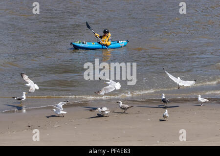 Man kayaking on the River Thames, London England United Kingdom UK Stock Photo