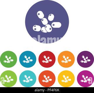Coccus bacilli icons set vector color Stock Vector