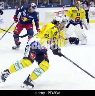 August 18, 2018 - Garmisch-Patenkirchen, Germany - Eric BLUM (Bern), .Ice Hockey, preparations tournament Red Bulls Salute 2018, Red Bull Salzburg vs SC Bern. Olympia Ice Rink, Garmisch-Patenkirchen, Germaany, .the teams of Salzburg and Bern play for the victory in this traditional preparation tournament Credit: Wolfgang Fehrmann/ZUMA Wire/Alamy Live News Stock Photo