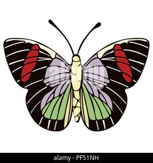 Butterfly cartoon drawing, vector illustration. Abstraction drawn butterfly with red, green, lilac, black wings isolated on white background, insect h Stock Vector