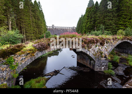 The Clatteringshaws Dam in the Galloway Forest Park in south west Scotland. Built by Sir Alexander Gibb & Partners in 1932-38, it is on the south west Stock Photo