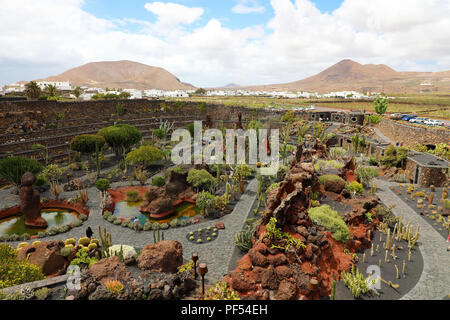 Amazing view on the tropical cactus garden Jardin de Cactus in Guatiza village, Lanzarote, Canary Islands Stock Photo