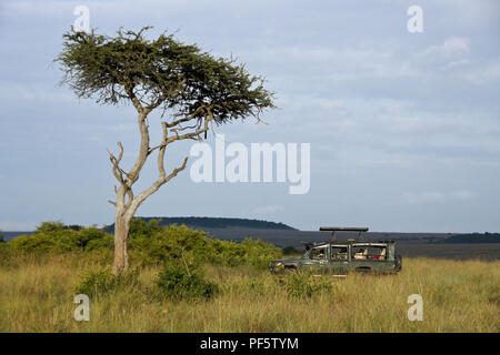 Tourists in safari vehicle under tree with camouflaged leopard, Masai Mara Game Reserve, Kenya Stock Photo