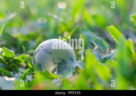 Concept Save the world save environment The world is in the grass of the green bokeh background Stock Photo