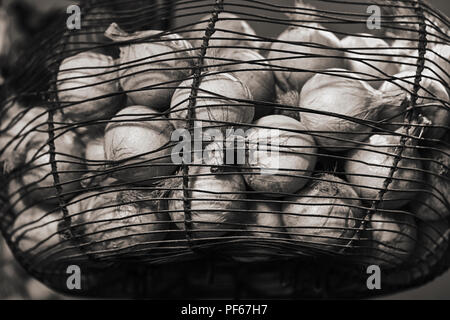 Garlic and onions hanging in the kitchen Stock Photo