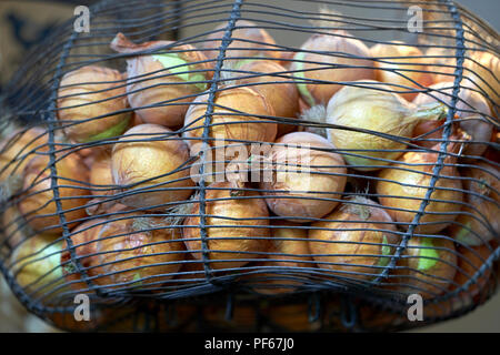 Garlic and onions hanging in the kitchen Stock Photo