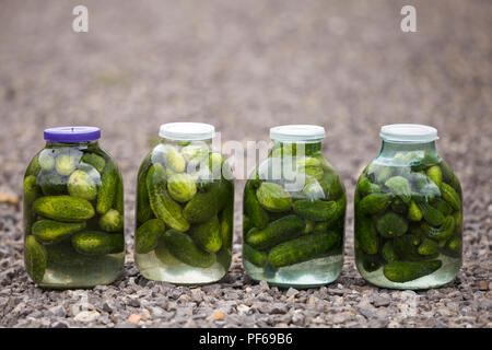 Close-up of four big glass jars with green fresh pickles cucumbers salted in marinade covered with plastic covers on abstract blurred background. Home Stock Photo