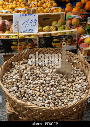 PALERMO, SICILY, ITALY - MAY 21, 2018: Edible snails (Lumache) at La Vucciria Market with price label Stock Photo