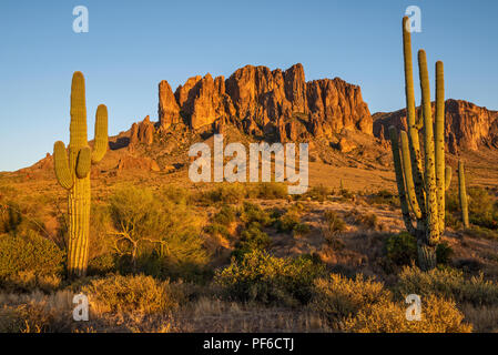 Lost Dutchman State Park is a 320 acre (129 ha) state park located near the Superstition Mountains in central Arizona, USA, and named after the Lost D Stock Photo