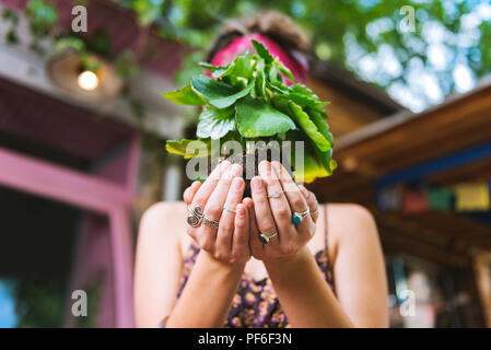 Woman wearing many stylish rings holding green plant Stock Photo