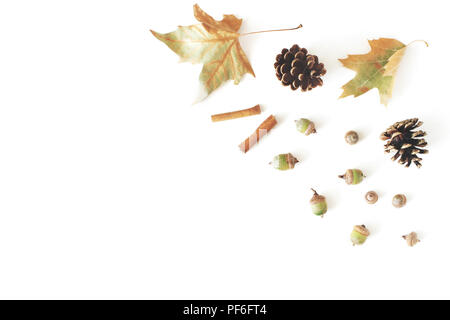 Autumn styled botanical arrangement. Composition of oak acorns, pine cones, dried maple, plane tree leaves and cinnamon sticks on white table backgrou Stock Photo