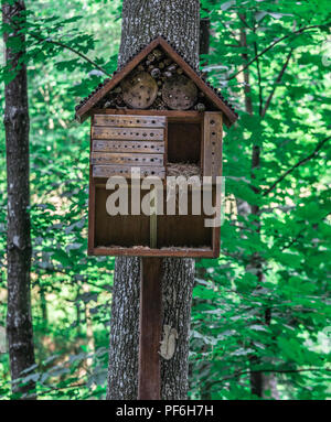 A wooden house for squirrels in the form of a birdhouse on a tree the forest. Stock Photo