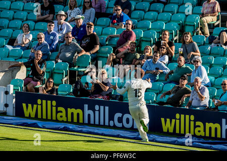 London, UK. 19 August 2018. Steven Croft takes a great catch to end the Surrey innings fielding for Lancashire against Surrey on day one of the Specsavers County Championship game at the Oval. David Rowe/Alamy Live News Stock Photo